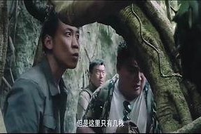 国产野战视频在线观看